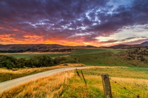 Where the road ends